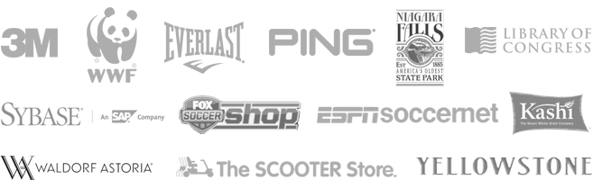 Our Corporate Experience